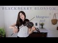 BLACKBERRY BLOSSOM • Bluegrass reel