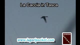 EP 10  1AP POCKET ANATIDI   cACCIA DI GIANNI A CHUY