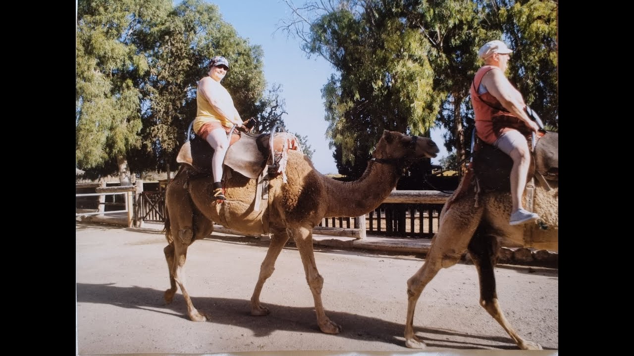 Fotoschau: Oktober 2025:  Zypern III: 1 Wasserfall,Golden Donkeys Farm Skarinou + Camel Park Mazotos