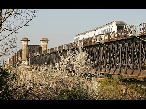 Springtime ! Trains in the French countryside (Cubzac-les-Ponts 33)