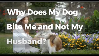 Why Does My Dog Bite Me And Not My Husband