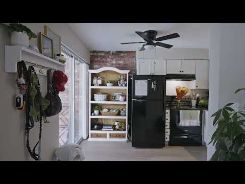 153 New York Avenue, Dunedin, FL home video tour