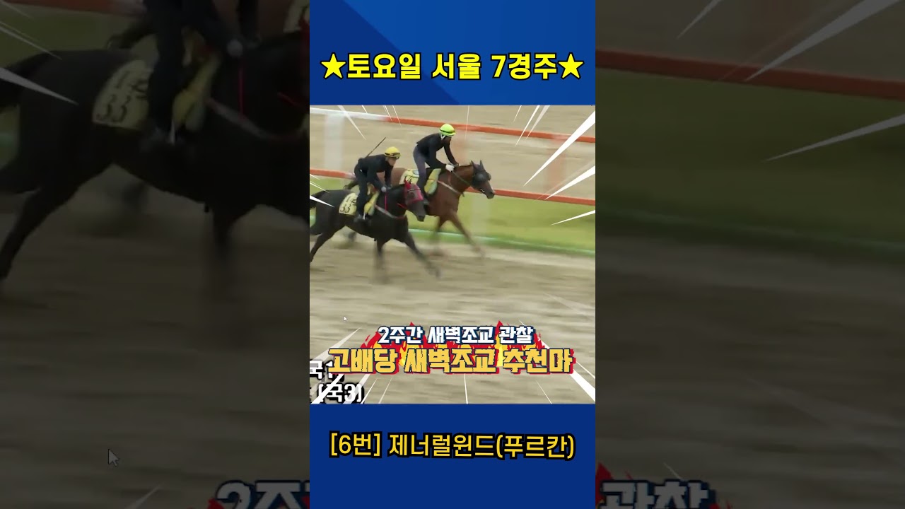 6월27일 토요일 서울 7경주!! 2주간 훈련보인 강백호의 새벽조교 쏘스마!!