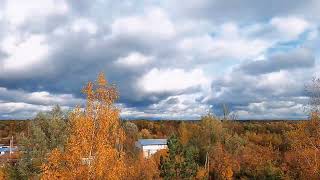 Осенние облака из домашнего окна timelapse