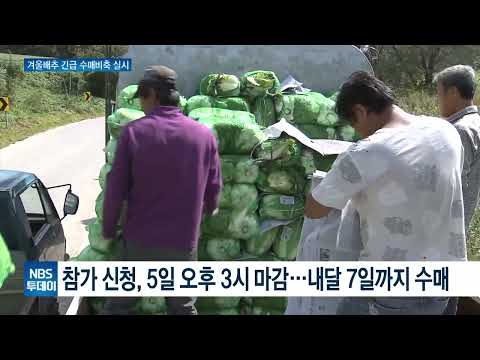 유튜브 미리보기