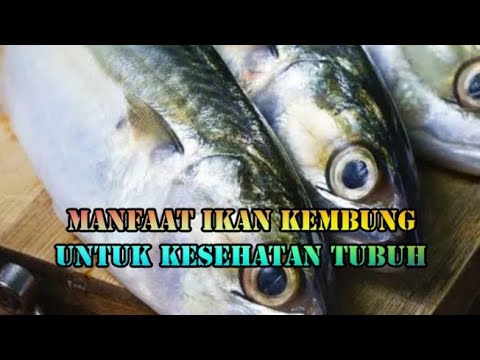 What Is Ikan Kembung In English