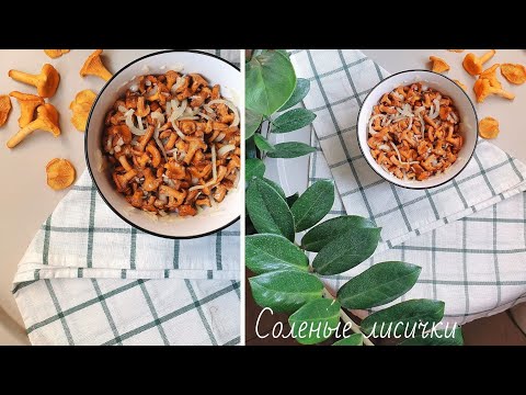 Соленые лисички | Быстрый и вкусный рецепт