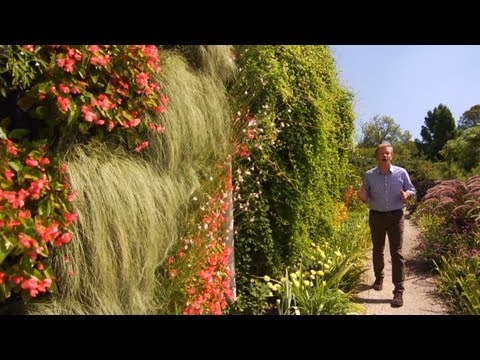 تصویری: روش گیاهان روی دیوار - نکاتی درباره استفاده از دیوارها در باغ
