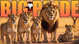 Creating my OWN LION PRIDE   - Animalia Survival screenshot 4