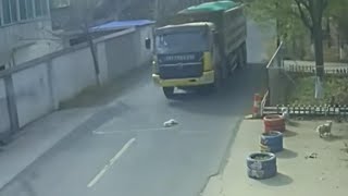 The touching moment captured by the surveillance camera of two puppies saving their companion#dog