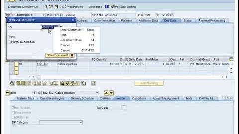 Purchase Order Mass Load in SAP using Excel