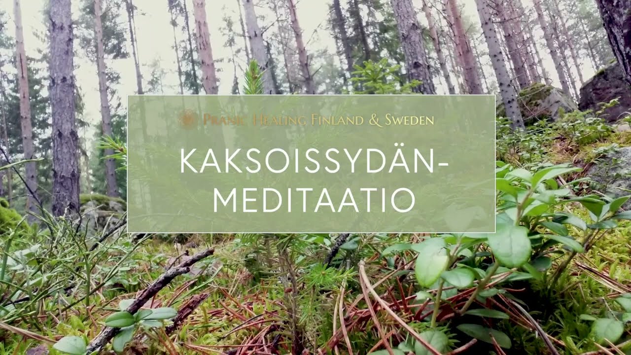 Kaksoissydänmeditaatio - Marraskuu 2020