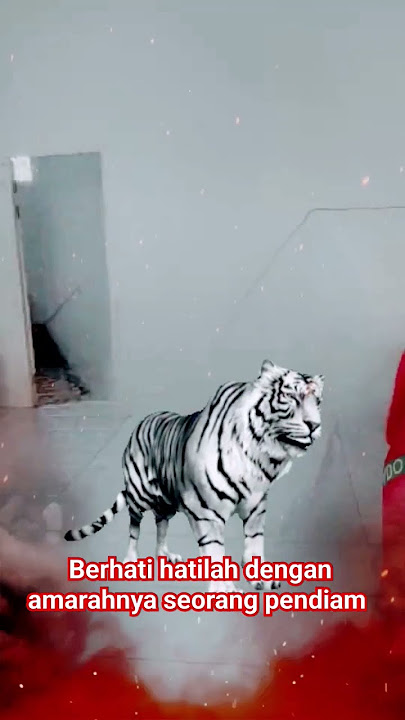 AWAS‼️JANGAN BANGUNKAN MACAN TIDUR #shorts