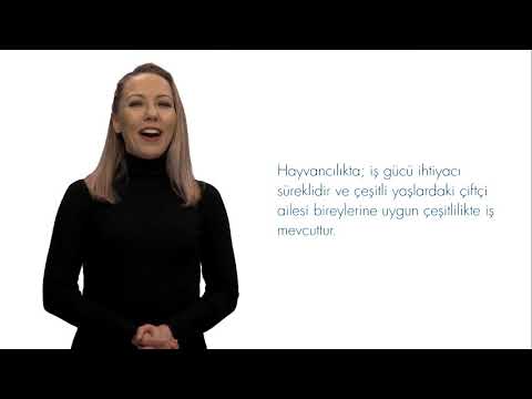 Video: Önce Ne Geldi - Tarım Veya Sığır Yetiştiriciliği