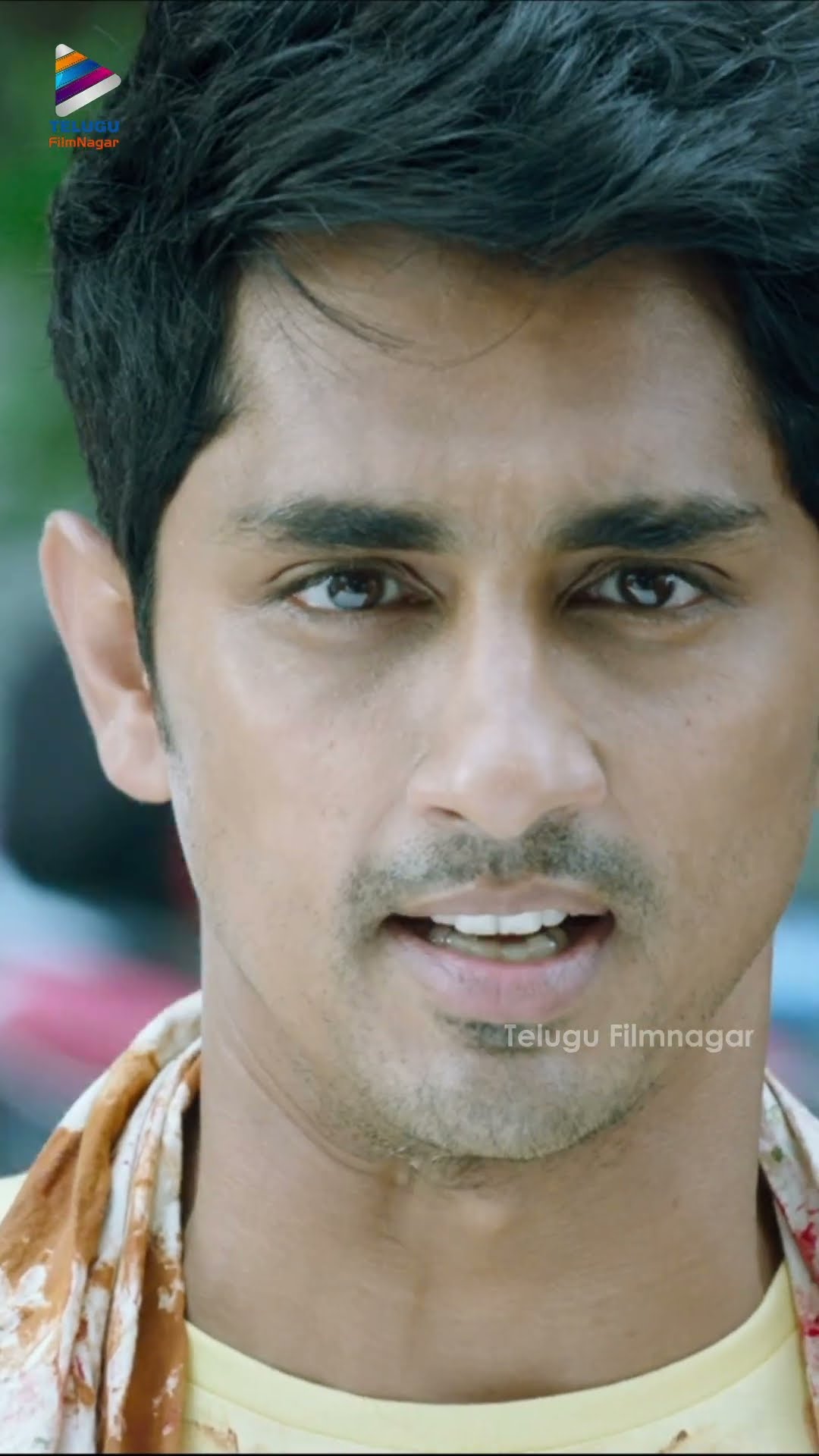 152 టీ కొట్లు సీజ్ చేసిన సిద్ధార్థ్ ? | #Vadaladu | #Siddharth | #CatherineTresa | #Shorts | TFN