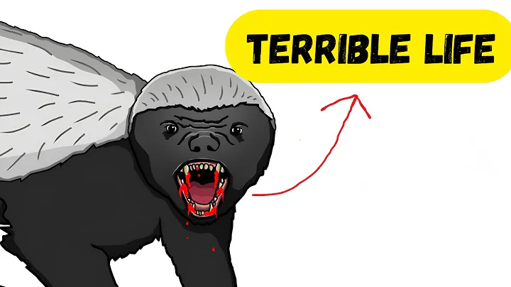 Why It Really Sucks to Be Born as a Honey Badger