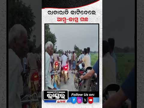 ବିନା ଅନୁମତିରେ କାଟିଦେଲେ ଫଳନ୍ତି ଗଛ, ଏବେ ପଶିବେ ଜେଲ୍! #ytshorts #shortsvideo #odishabhaskar