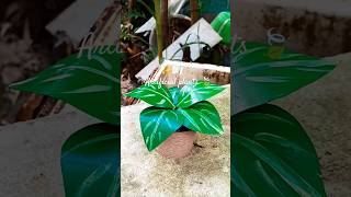 ✨Diy Artificial plants 🍃#asethetic#diy#art#craft#diycrafts#viral#cute#shortvideo#handmade#artificial