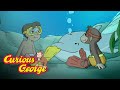 Swimming With the Dolphins 🐵Curious George 🐵Kids Cartoon🐵Kids Movies🐵Videos for Kids