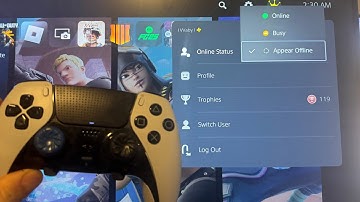 PS5 Pro: How to Appear Offline Tutorial! (For Beginners)