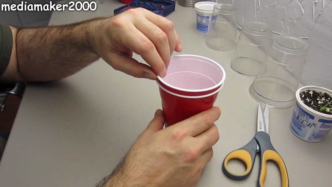 Easiest Solo Cup Transplant Starter Pots DIY