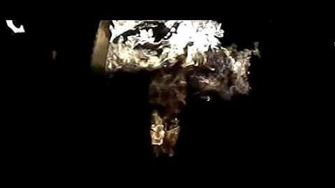 Oscillation in slow motion