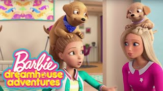 @Barbie | Get to Know the Cast of Barbie Dreamhouse Adventures! | Barbie Dreamhouse Adventures