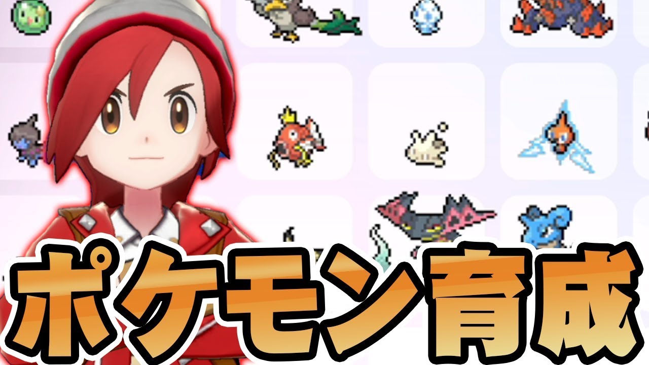 一緒に最強のポケモンを育成しようよ ポケットモンスター ソード シールド を実況プレイ ポケモン剣盾 Youtube