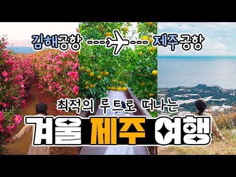 겨울제주여행은 또다른 특별함이 있지! 🍊 (With 여행작가)