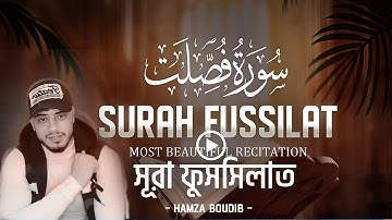 Surah Fussilat (Ha Mim As-Sajdah) 30-37┇Heart touching سورة فصلت  - Hamza Boudib - القارئ حمزة بوديب