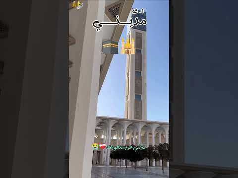 تكويني شهقات الثكالى ل ا ت يأس ن م ن الد ع اء و ز د ب ه إن ال ذ ي ف ط ر الس اء