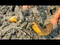 Best Videos Catching Snails Eels Crabs In Dry Water With A Fisherman Hand Skill.