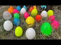 Awesome I collected so many cute, colorful dinosaur eggs
