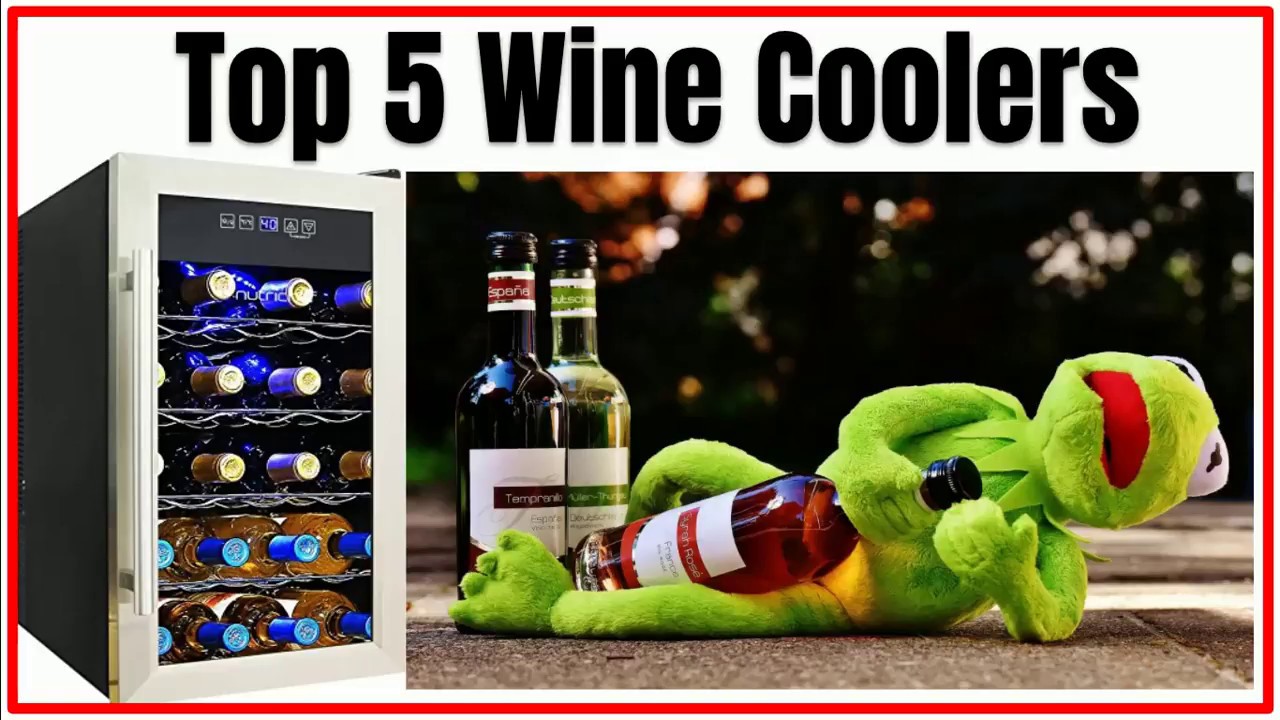 Top 5 Wine coolers and chillers for your money YouTube