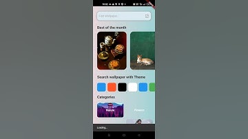 Wallpaper App UI
