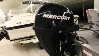 2010 Bass Tracker PRO 16 For Sale 936-253-8130
