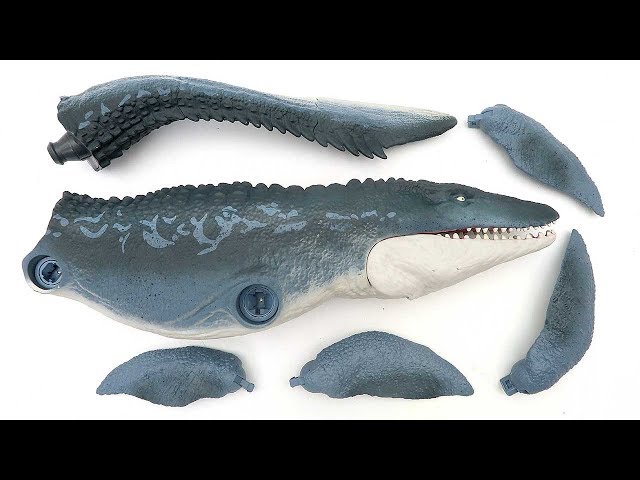 Dinosaurs For Kids! Jurassic world mosasaurus real action figure - finding tail fun video 모사사우루스 class=