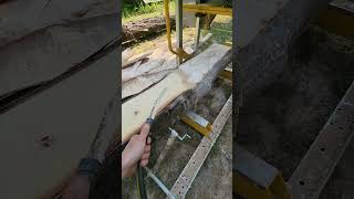 Running Our Very First Hickory Log Through Our OS31 Sawmill. Part 1