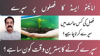 Amino Acids in Agriculture: Boosting Crop Growth & Yield | zarai mashwary