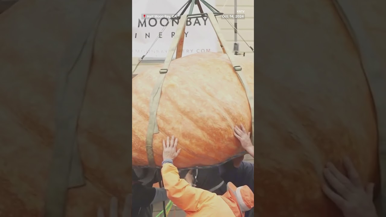 2,471-pound pumpkin wins 51st World Championship Pumpkin Weigh-Off 2,471-pound pumpkin wins 51st World Championship Pumpkin Weigh-Off