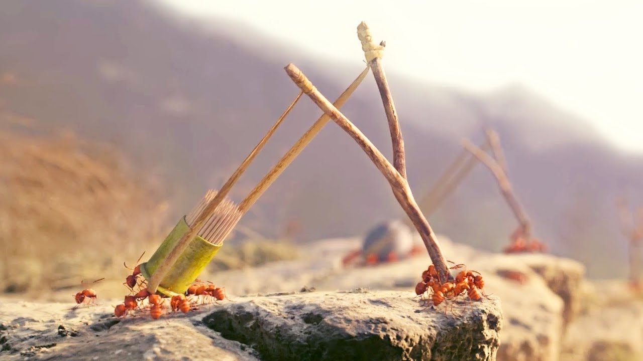 TINY BLACK ANTS build DEADLY WEAPONS to DEFEND their SUGAR from RED ARMY