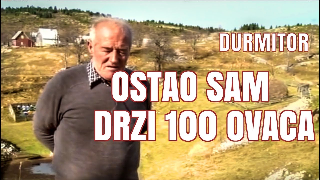DURMITOR MALA CRNA GORA - DRZI 100 OVACA