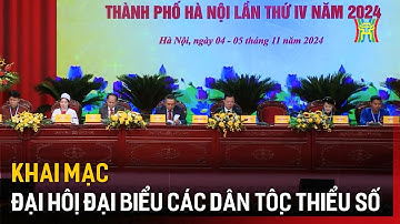 Khai mạc Đại hội Đại biểu các Dân tộc thiểu số  | Tin tức