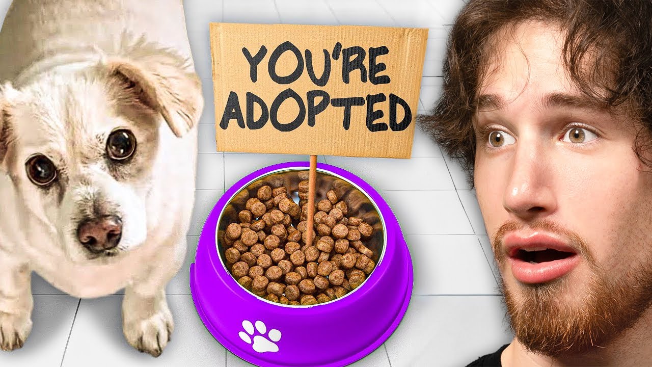 Dog Finds Out He's ADOPTED...