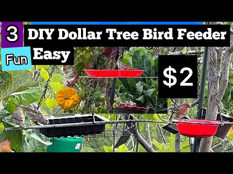 DIY How to