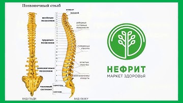 Боли в спине? Межпозвонковая грыжа.