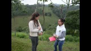 Lugares de impacto.AVI