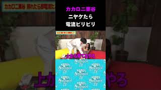 カカロニ栗谷がニヤケすぎて電流ビリビリｗｗｗ　#NOBROCKTV #佐久間宣行 #Shorts #風吹ケイ #カカロニ