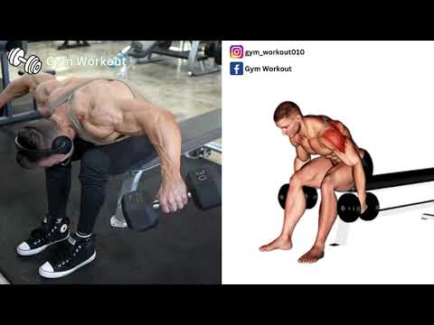 Seated Bent Over Dumbbell Rear Delt Fly