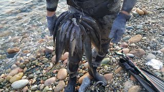 видео: Подводная охота в Греции (кефаль) картинка: Подводная охота в Греции (кефаль)